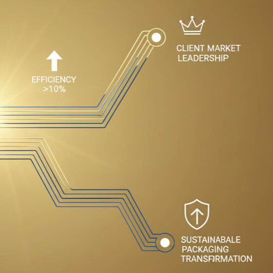 Our mandate is to accelerate sustainable packaging transformation by integrating regulatory governance with operational feasibility, thereby securing client market leadership in the PPWR era.